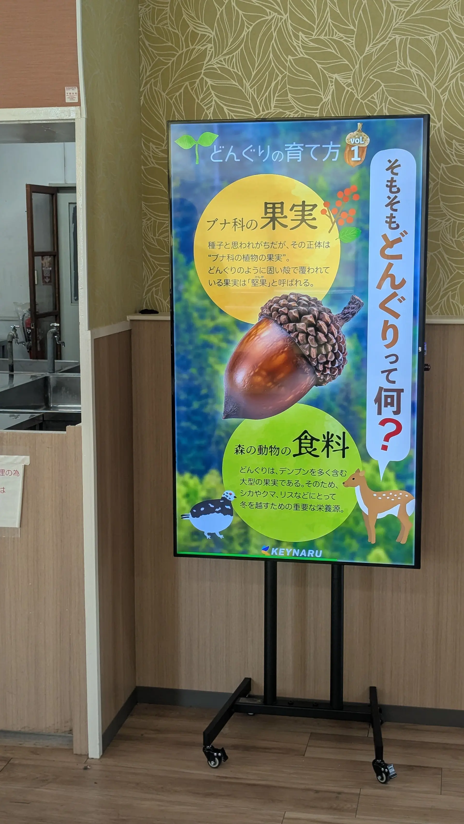 福岡女子商業_食堂_1.jpg